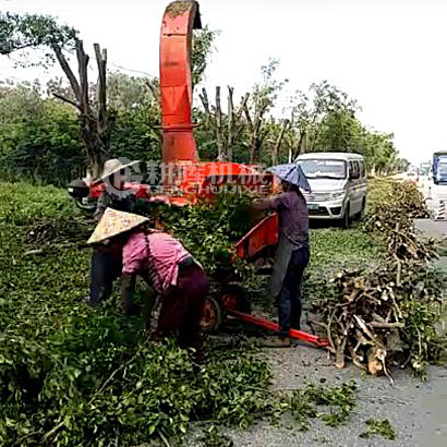 大型修剪樹枝粉碎機冬青樹粉碎機